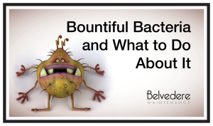 Bountiful-Bacteria